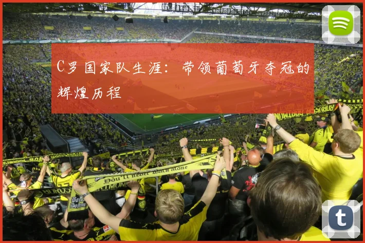 C罗国家队生涯:带领葡萄牙夺冠的辉煌历程