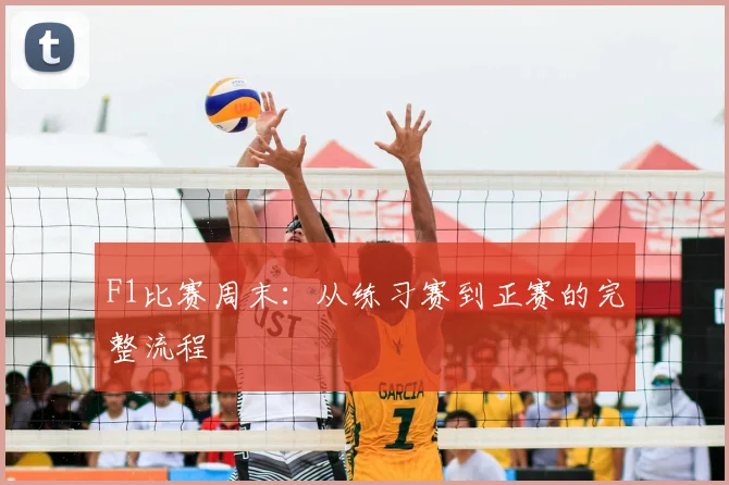 F1比赛周末：从练习赛到正赛的完整流程