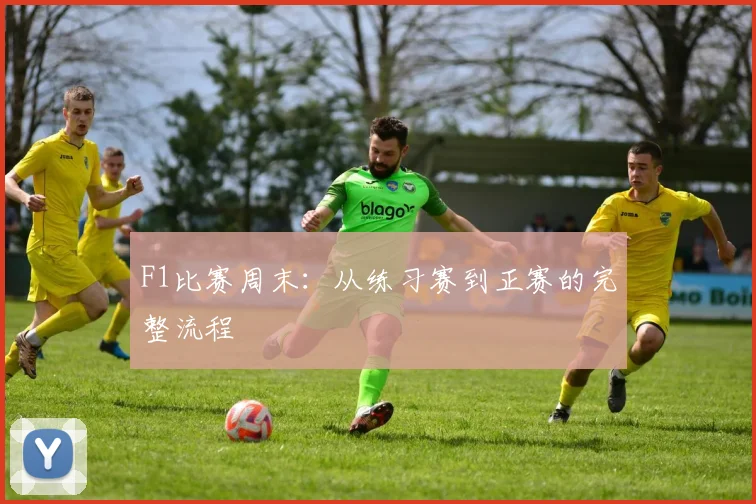 F1比赛周末:从练习赛到正赛的完整流程
